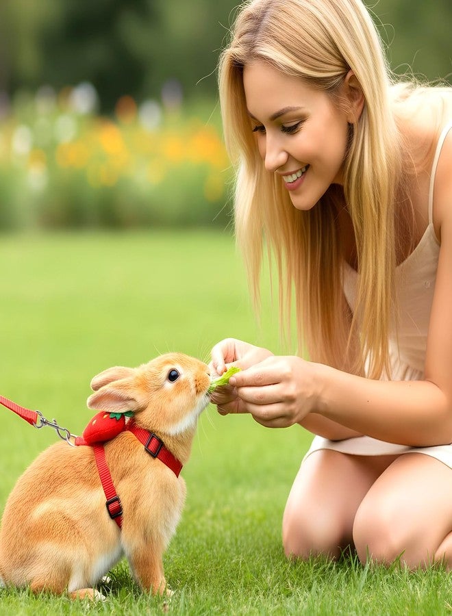Matwsec 2PCS Bunny Harness and Leash Guinea Pig Leash Rabbit Bunny Leash Kitten Harness and Leash Set for Guinea Pig Ferret Cat Puppy Duck Small Pets Outdoor Walking - Image 4